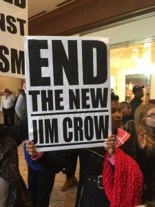 Black Friday protestors at the Galleria mall in St. Louis, MO.